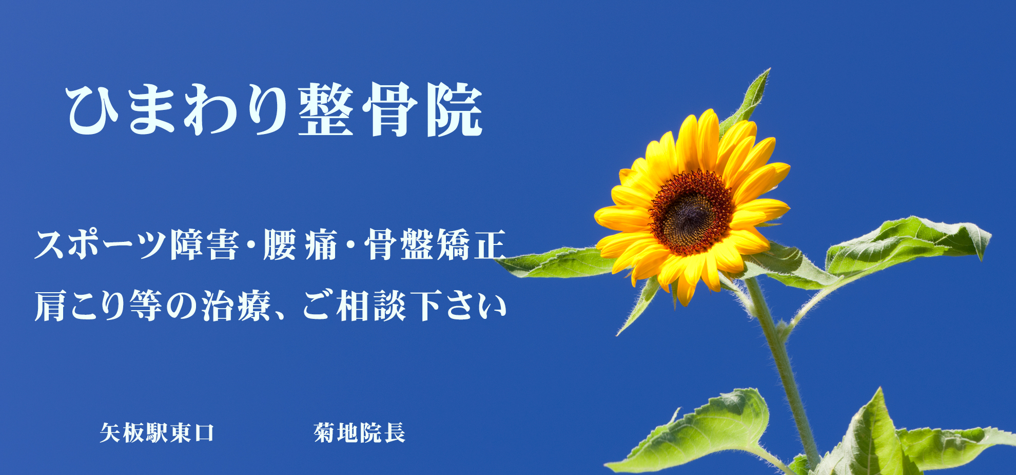 ひまわり整骨院/菊地智彦院長 ひまわり整骨院/菊地智彦院長